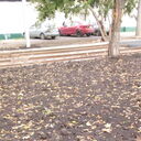 ���������� ��������, ���� ������� Andrey, 37 ���, ������������ ��� ������, ����� � ���������, c�������� ���������