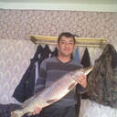 ���������� �������, ���� ������� ���������, 38 ���, ������������ ��� ������, ����� � ���������, c�������� ���������, ���������