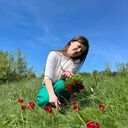 ���������� ���������, ���� ������� ����, 33 ����, ������������ ��� c�������� ���������