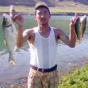 ,   Beks, 37 ,     , c 