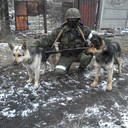 ���������� ������, ���� ������� �����, 40 ���, ������������ ��� ������, ����� � ���������, c�������� ���������