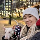 ���������� �����������, ���� ������� �����, 44 ����, ������������ ��� ����� � ���������, c�������� ���������