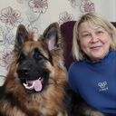 ���������� ��������, ���� ������� �������, 56 ���, ������������ ��� ����� � ���������, c�������� ���������