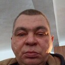   ,   , 51 ,   ,   