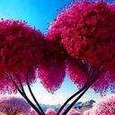  ,   , 33 ,   ,   , c , 
