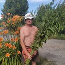  ,   , 55 ,     , c 
