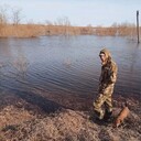 ���������� �����, ���� ������� Dmitry, 29 ���, ������������ ��� ������, ����� � ���������, ���������