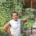  ,   , 61 ,   
