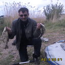  -,   , 55 ,   