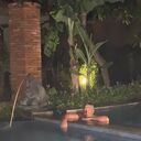 ���������� ������������, ���� ������� Serg, 52 ����, ������������ ��� ������, ����� � ���������