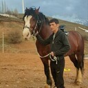  ,   Hasan, 47 ,   ,   , c , 