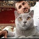  ,   DaBRO, 33 ,   ,   , c 
