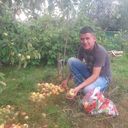 ���������� ������������, ���� ������� ������, 33 ����, ������������ ��� ������