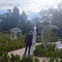 ���������� ����, ���� ������� �������, 69 ���, ������������ ��� ����� � ���������, c�������� ���������