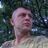  ,   , 81 ,     , c 