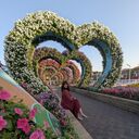 ���������� ������, ���� ������� ����, 46 ���, ������������ ��� ������, ����� � ���������