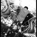 ���������� ������, ���� ������� Tim, 31 ���, ������������ ��� ������