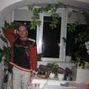  ,   , 44 ,   