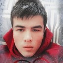 ���������� �����-���������, ���� ������� Wolf, 26 ���, ������������ ��� ������, ����� � ���������, c�������� ���������, ���������