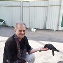 ���������� �������, ���� ������� �����, 54 ����, ������������ ��� ������, ����� � ���������, c�������� ���������