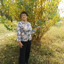  ,   , 65 ,  