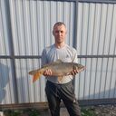 ���������� ���������, ���� ������� ������, 39 ���, ������������ ��� ������, ����� � ���������, c�������� ���������