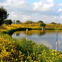 ���������� ����, ���� ������� �����, 39 ���, ������������ 