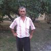  ,   Giorgi, 55 ,   ,   , c 