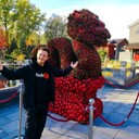 ���������� ���������, ���� ������� �������, 29 ���, ������������ ��� ������, ����� � ���������