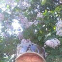  ,   , 40 ,   ,   