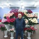  --,   , 43 ,   ,   