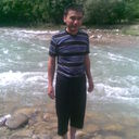  ,   Lion, 43 ,  