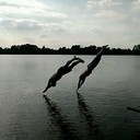 ���������� ������, ���� ������� �����, 37 ���, ������������ ��� ������, ����� � ���������, c�������� ���������