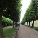 ���������� �����-���������, ���� ������� ������, 56 ���, ������������ ��� ����� � ���������, c�������� ���������