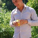 ���������� �����, ���� ������� Vaselek, 41 ���, ������������ ��� ����� � ���������, c�������� ���������