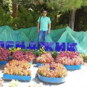  --,   , 56 ,   ,   , c 