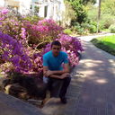 ���������� ����, ���� ������� �������, 39 ���, ������������ ��� ������, ���������