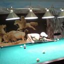  ,   , 42 ,   ,   , c , 