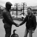 ���������� �����, ���� ������� ������, 44 ����, ������������ ��� ������, ����� � ���������, c�������� ���������