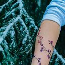 ���������� ������, ���� ������� Francisco, 59 ���, ������������ ��� ������, ����� � ���������