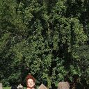 ���������� �����-���������, ���� ������� �����������, 48 ���, ������������ ��� ������, ����� � ���������, c�������� ���������, ���������