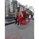 ���������� �������, ���� ������� �����, 42 ����, ������������ ��� ������, ����� � ���������