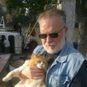  ,   , 65 ,   
