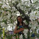 ���������� ������, ���� ������� �����, 31 ���, ������������ ��� ������, ����� � ���������, c�������� ���������