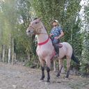  ,   Narzullo, 25 ,   ,   