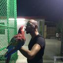  ,   Falcon 27, 40 ,   ,   , c , 