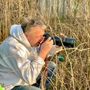 ���������� �����, ���� ������� ������, 50 ���, ������������ ��� ������, ����� � ���������