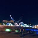 ���������� ������, ���� ������� ������, 29 ���, ������������ ��� ������, ����� � ���������