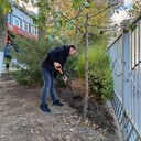 ���������� ������-��-����, ���� ������� �������, 37 ���, ������������ ��� ������, ����� � ���������, c�������� ���������