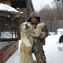 ���������� ������, ���� ������� ������, 38 ���, ������������ ��� ������, ����� � ���������, c�������� ���������